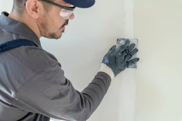 Best Wallpaper Removal and Painting  in Santa Rosa Valley, CA